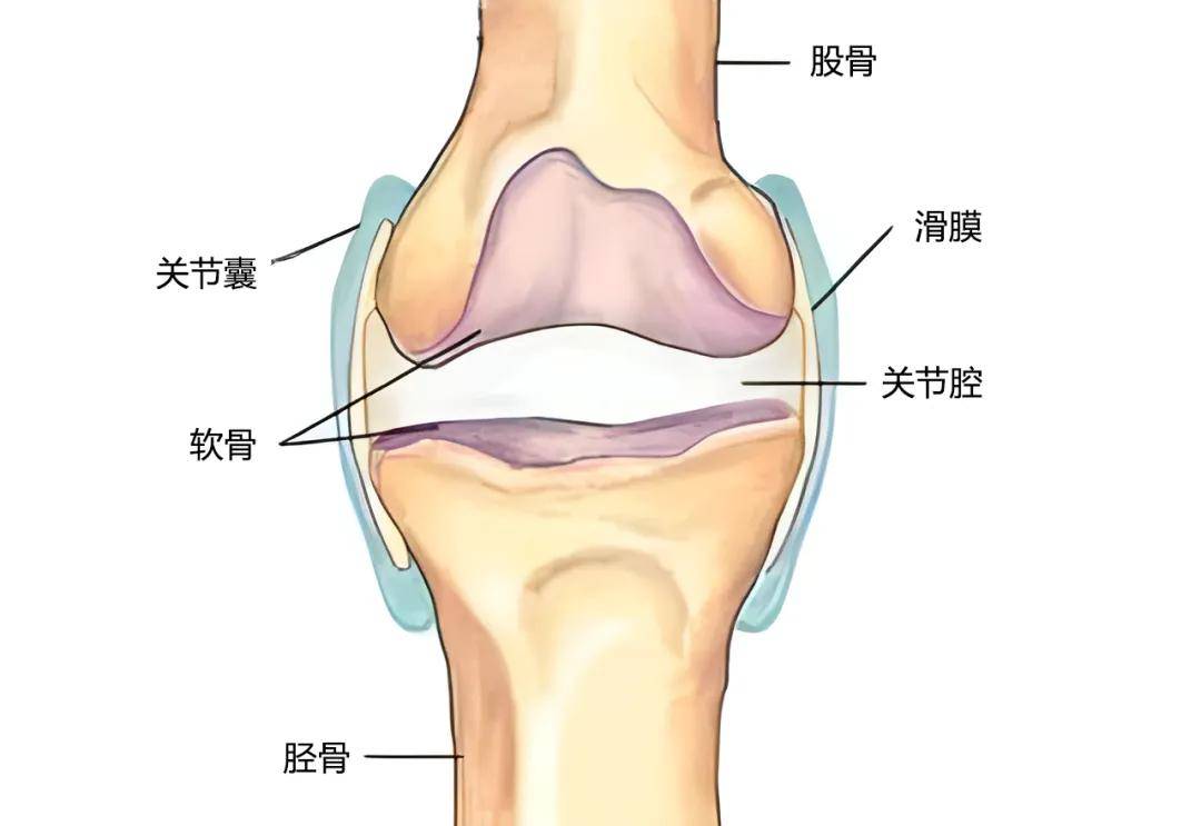 中老年朋友运动时，如何有效保护膝盖