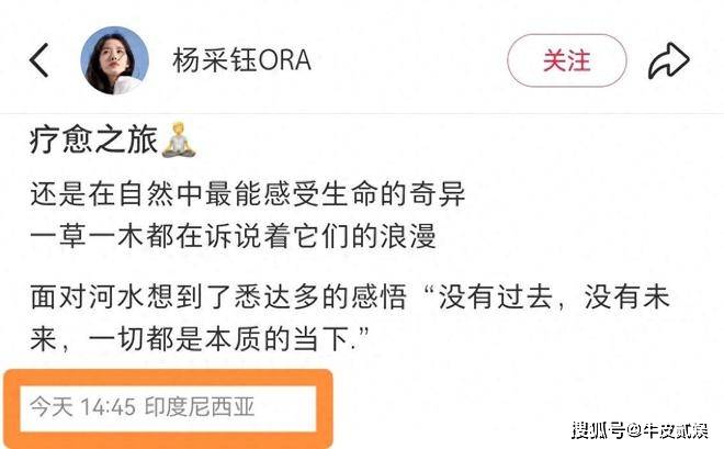 6686体育官网杨采钰母亲节晒照穿瑜伽服肚大如萝昔日金主陈金飞嫉妒了？(图1)