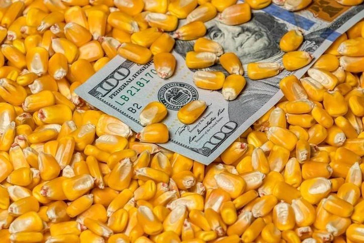 才过去4天美国又跟中国坐到了一起这急切劲大概自乱阵脚了中美天然气协议