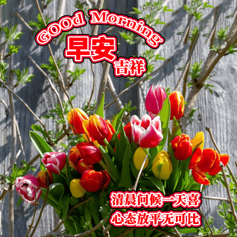 今日最新漂亮的早上好图片祝福，最真的牵挂，永远的祝福！