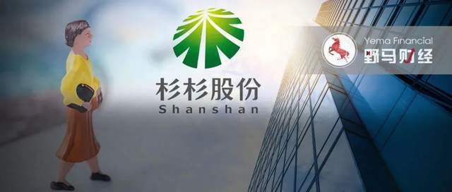 660亿杉杉系宫斗没有赢家：儿子成老赖，“后妈”直面破产重整！