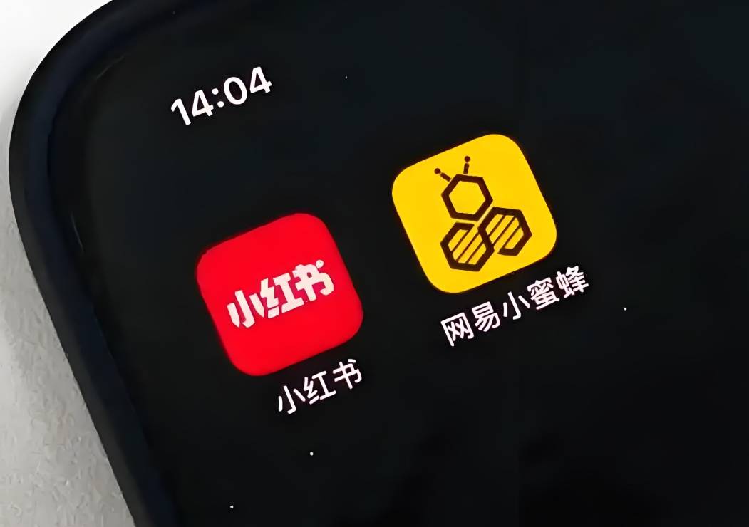 小红书重新注册还是违规怎么回事