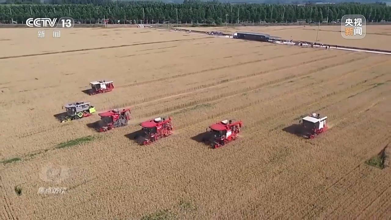 焦点访谈丨“一喷三防”、水肥一体化滴灌 我国夏粮产区抗旱有妙招