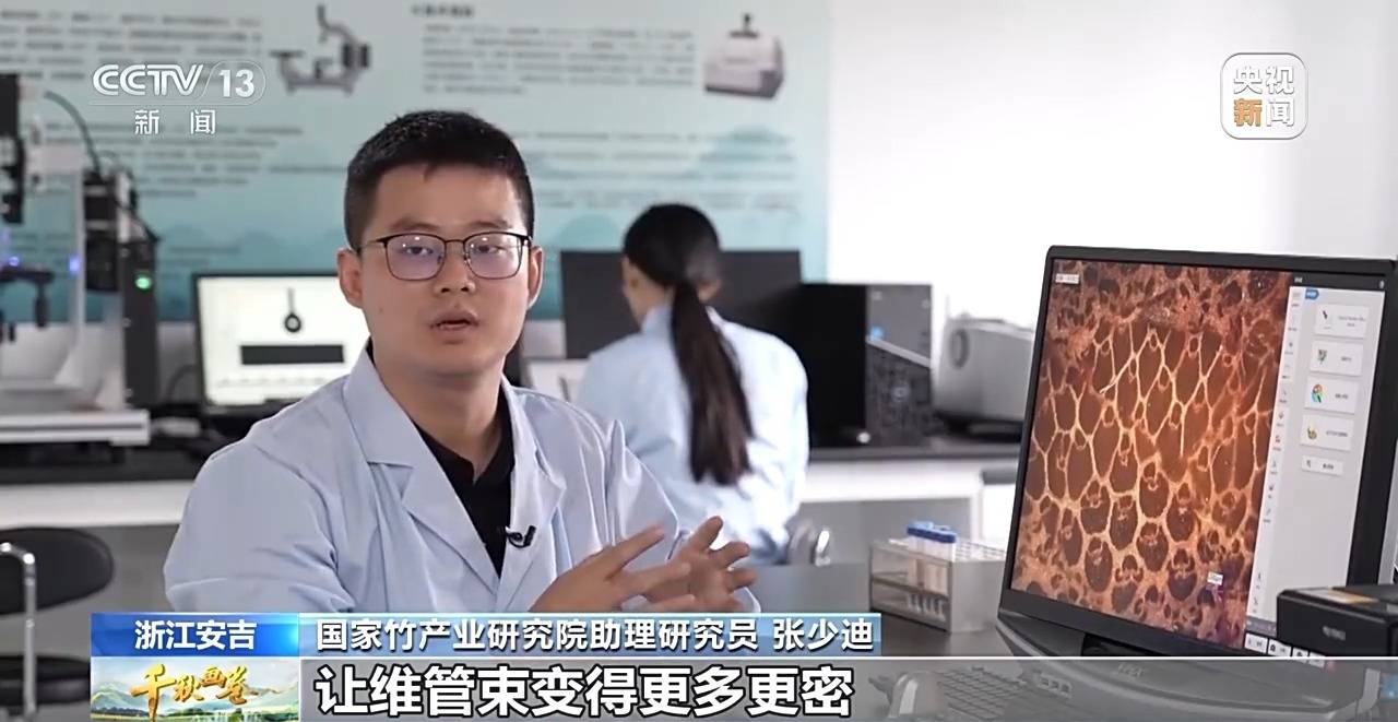 “两山”理念提出二十周年：绿水青山千秋画 万里江山共此卷
