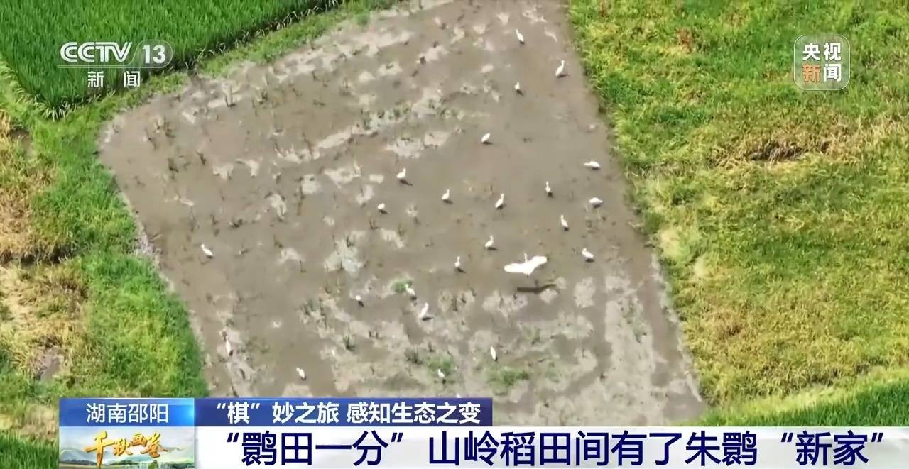 “两山”理念提出二十周年：绿水青山千秋画 万里江山共此卷