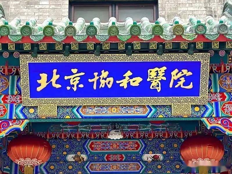“绝不姑息！”官方通报董小姐调查结果，新华社强硬发声