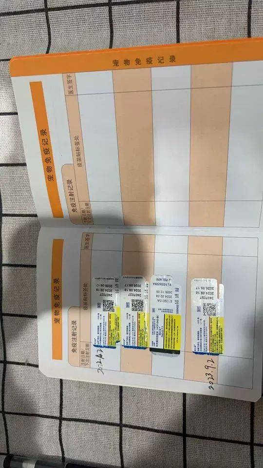主人欠钱3岁狸花猫被法拍，起拍价500元！宠物店：寄养费已超两万