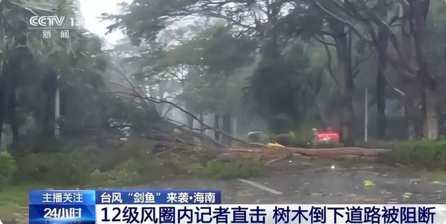 原创             12级台风夜袭三亚！游客都不敢冒头，而这些保命措施必须知道