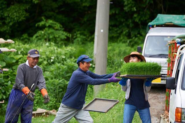 台当局向美国承诺，4年内消费100亿采购美国农产品