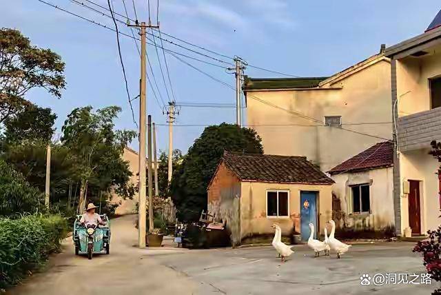 多宝体育- 多宝体育官网- APP下载我有种预感越来越多的80、90以后会不顾一切的大批回农村