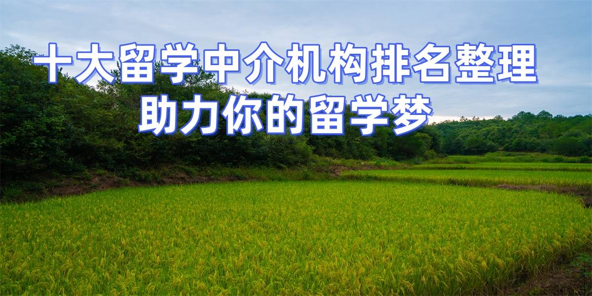 留学乐鱼体育- 乐鱼体育官网- APP世界杯指定平台机构怎么选最划算