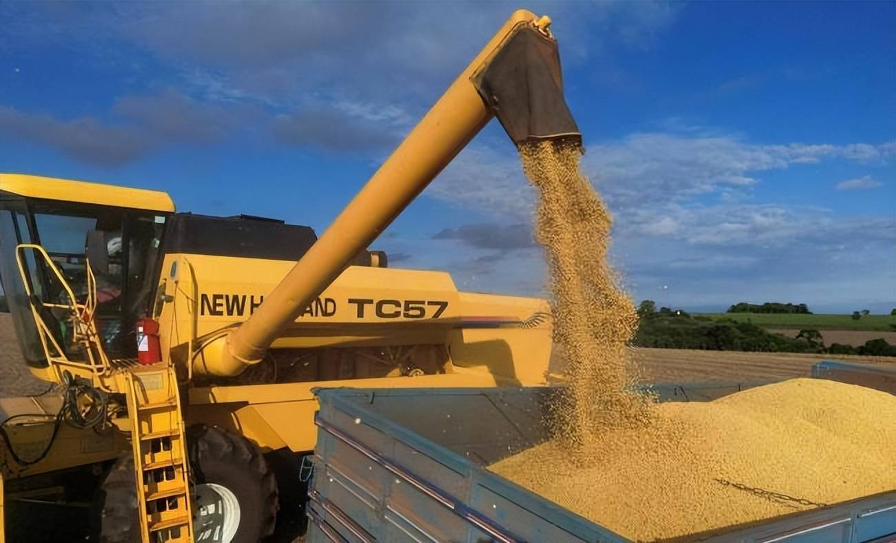 中方同意采购大豆,美国民主党人发现不对劲,美国的损失更严重了