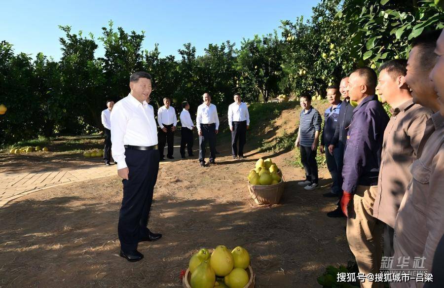 学习进行时丨习近平总书记关心推动老区发展振兴的故事