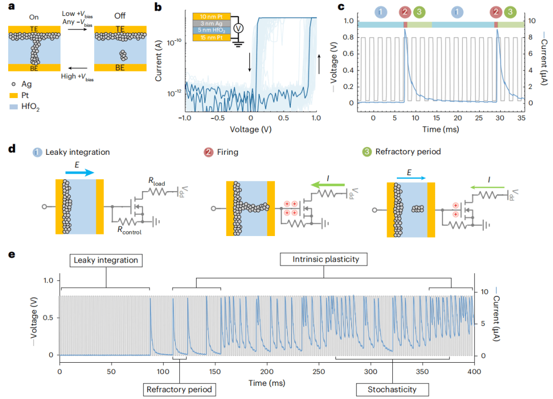 全新人工神经元面世，能耗比人脑低数千倍！或彻底改变AI部署方式