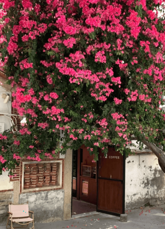 厦门五天四夜畅游指南：鼓浪屿风情初体验集美古韵深度游预约厦门大学新攻略保姆级安排让你不虚此行！【OKX 哈希游戏】区块链加密游戏玩法教程，新手必看！