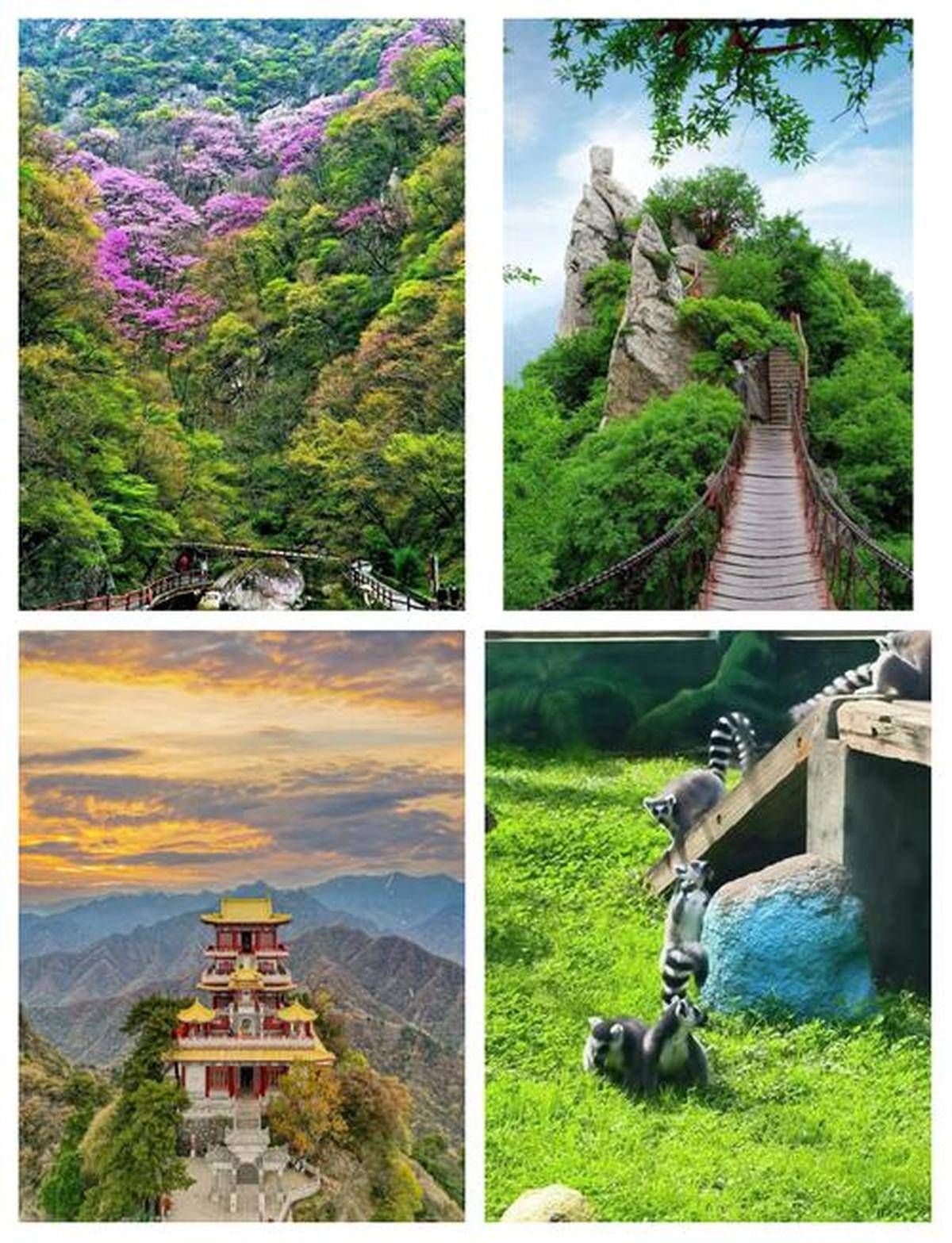 成都至陕西自驾游攻略：畅游秦岭美景与古都风韵【OKX 哈希游戏】区块链加密游戏玩法教程，新手必看！