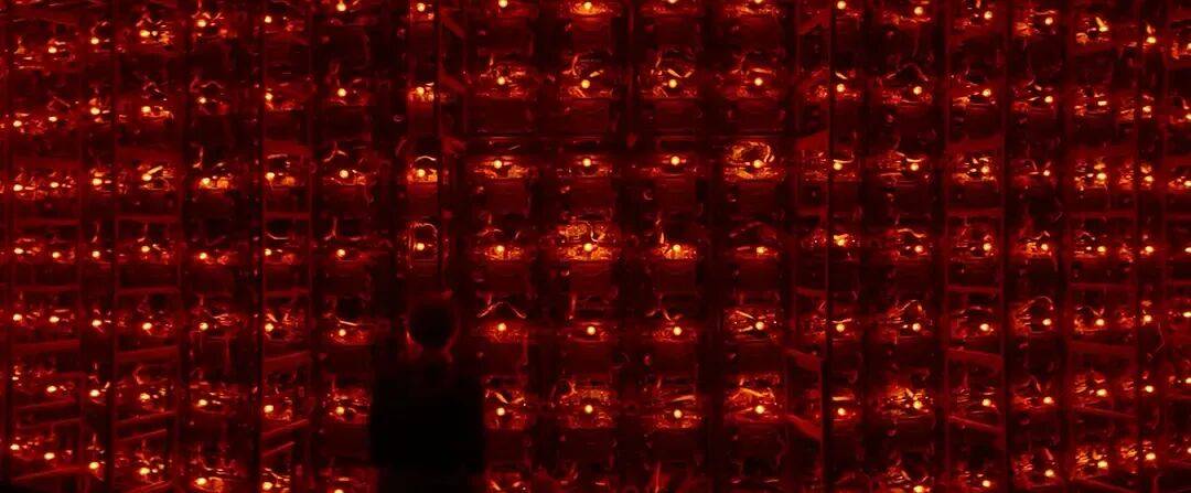 易烊千玺力撑票房但难抵上映口碑两极…《狂野时代》最大的“罪过”，是难懂吗？