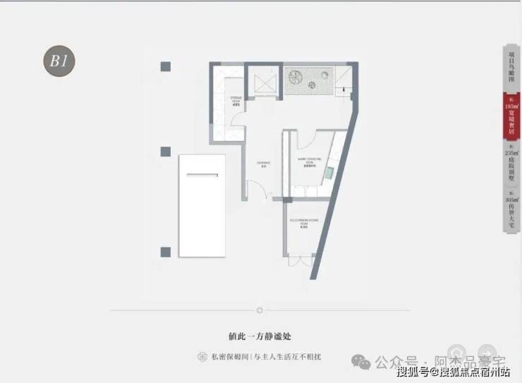 文章配图-10