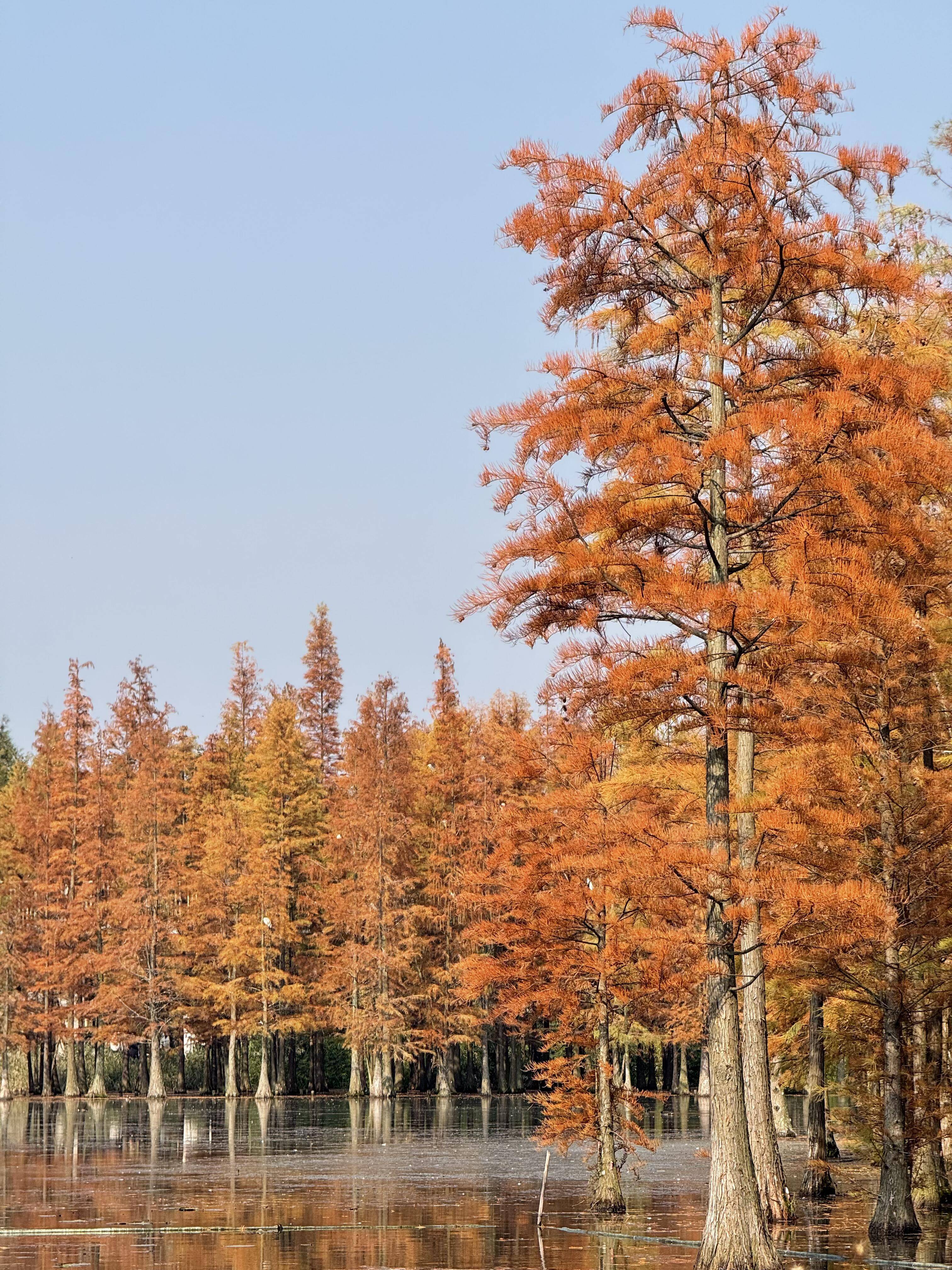 【OKX 哈希游戏】区块链加密游戏玩法教程，新手必看！去四川旅游五天省钱攻略：高性价比路线+景点门票