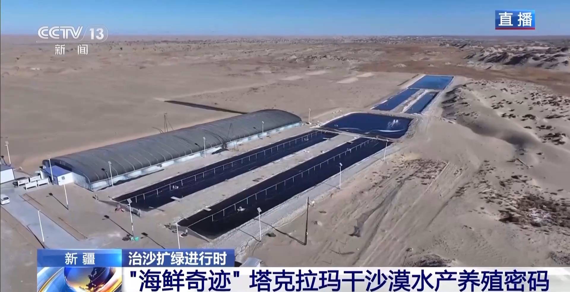 视频丨沙漠里如何养海鲜?解锁塔克拉玛干沙漠的水产养殖密码 视频丨沙漠里如何养海鲜?解锁塔克拉玛干沙漠的水产养殖密码
