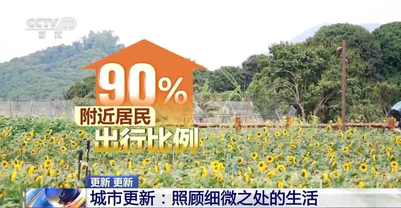 视频丨每周更新一张“地图” 重庆城市更新更精细更有温度 视频丨每周更新一张“地图” 重庆城市更新更精细更有温度