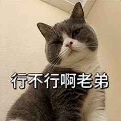 原创             憋大招？小米，也要出三折叠了！