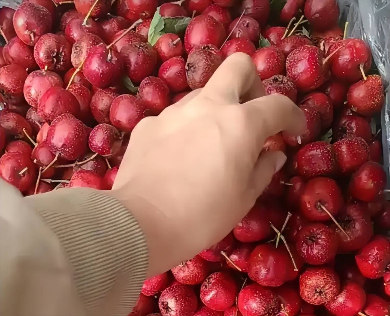 怀孕吃什么水果比较好?建议收藏