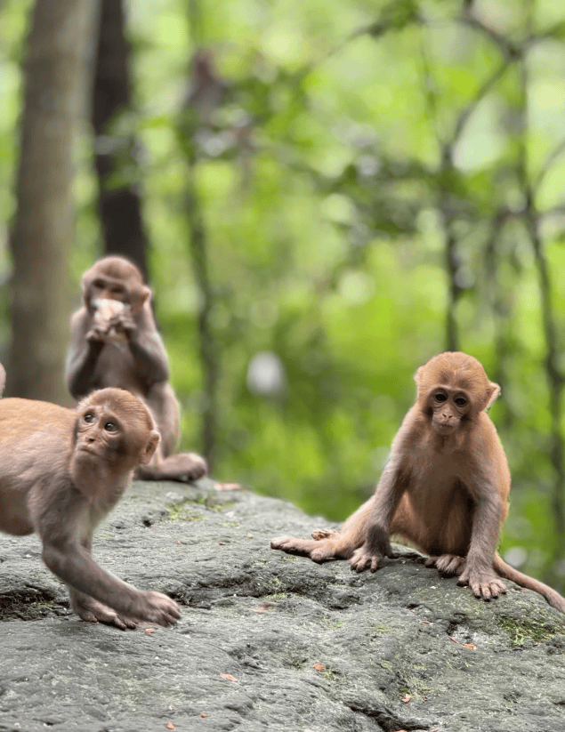 “Binance Casino - 领先的