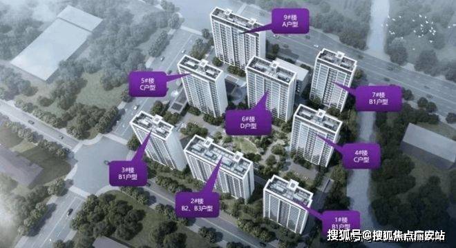 文章配图-9
