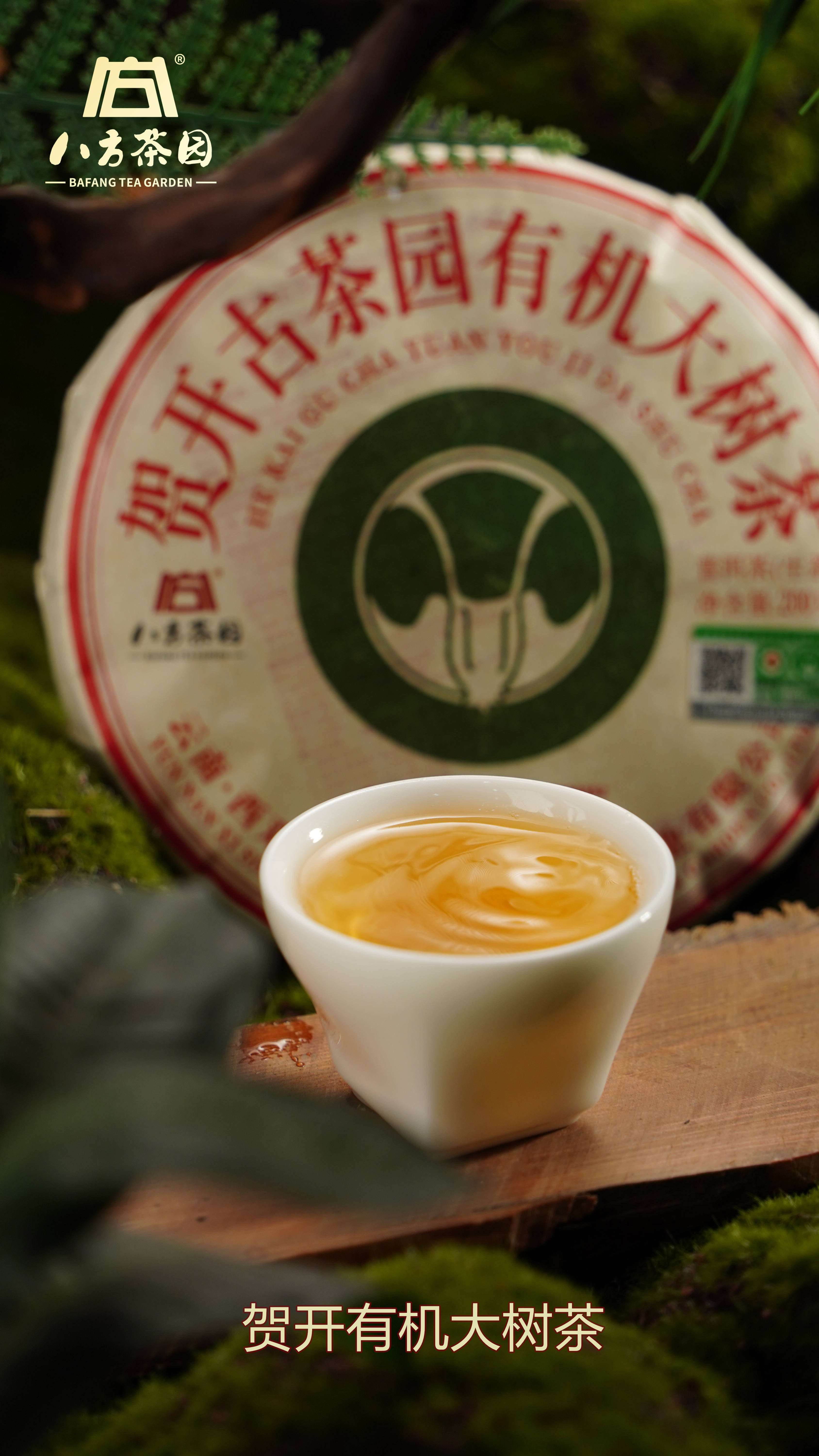 2026年 小青柑茶叶普洱茶叶源头厂家推荐:匠心工艺与陈香品质的行业标杆精选