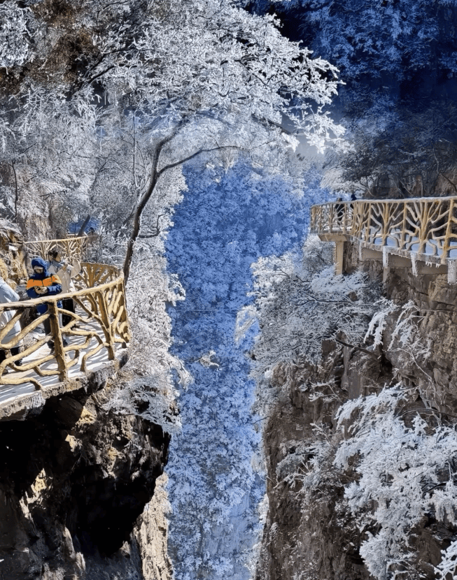 Binance Casino - 领先的