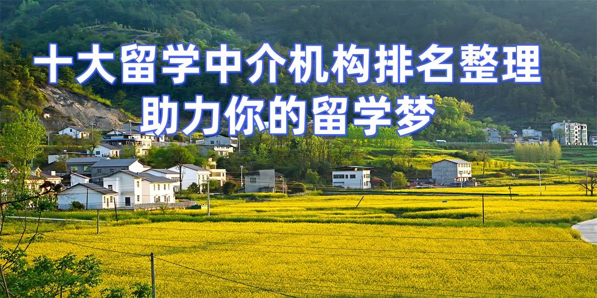 2026年重庆留学机构十强揭晓！靠谱选择全解析乐鱼体育- 乐鱼体育官网- APP世界杯指定平台