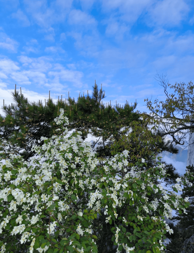 德信娱乐西安旅游小团推荐超省钱攻略性价比