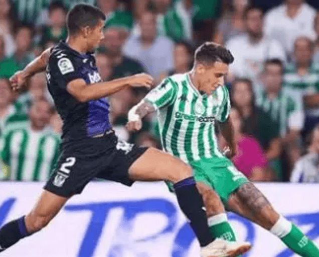 西甲联赛免费高清直播＋实时赛程积分榜＋竞彩预测全覆盖（2025赛季）周五016 西甲 埃尔切VS奥萨苏纳 近期表现与赛果预测分析