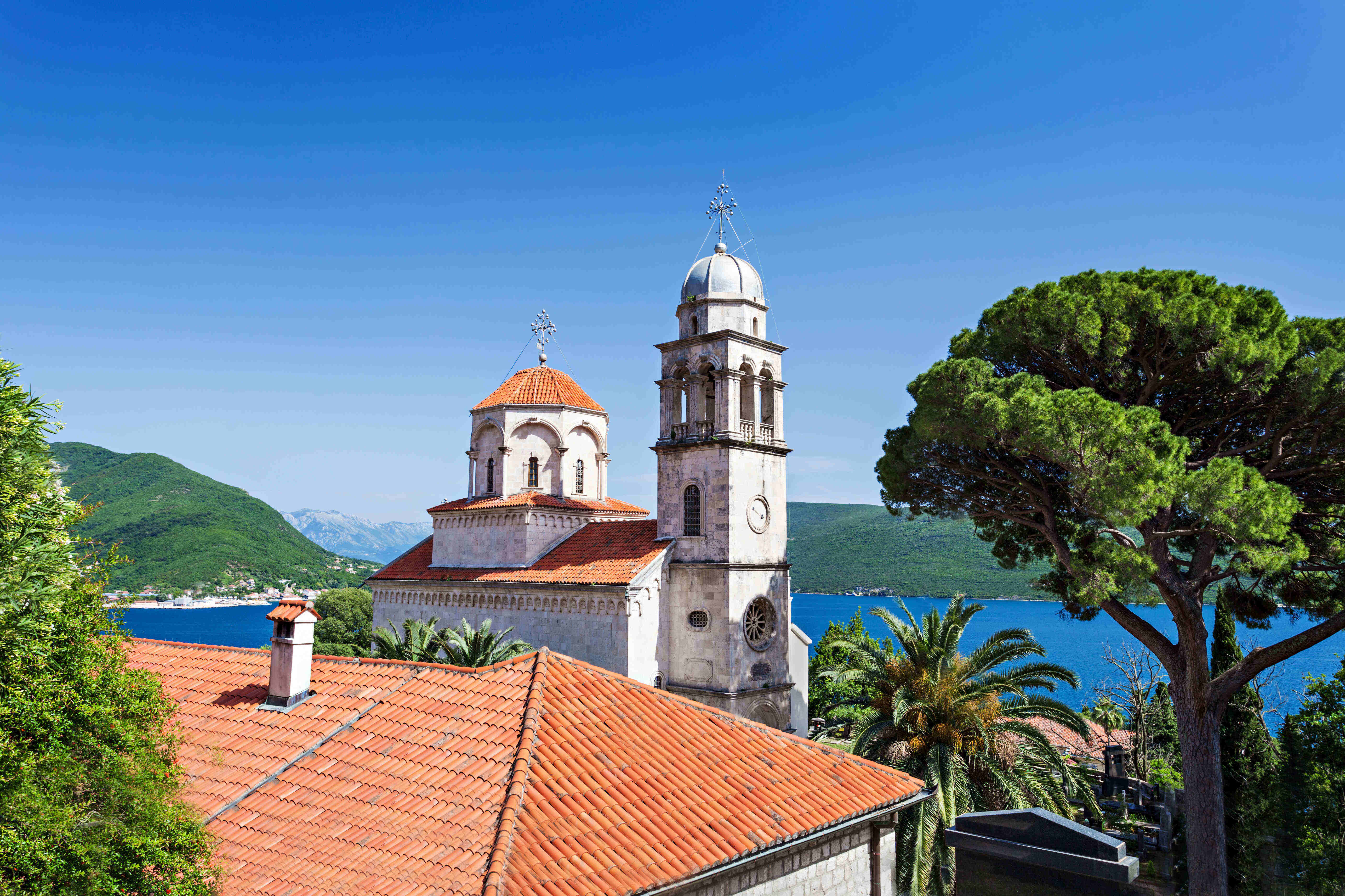 2026年重庆头部研乐鱼体育- 乐鱼体育官网- APP世界杯指定平台究生留学中介、无语言申请服务全解析