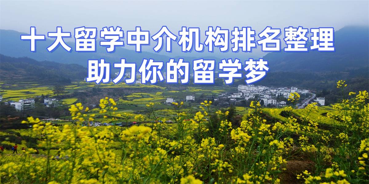 乐鱼体育- 乐鱼体育官网- APP世界杯指定平台2026年淮安留学中介排名解析双非学生择校策略与关键考量
