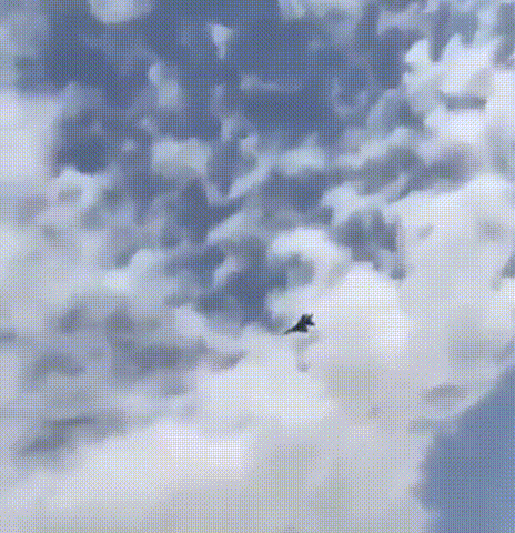 空袭得手,F35如入无人之境,伊朗米格29低空飞行想干嘛?