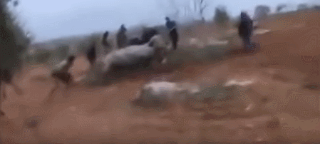 哥别动手,我是美国人!美国飞行员统一跪地投降是有标准的?