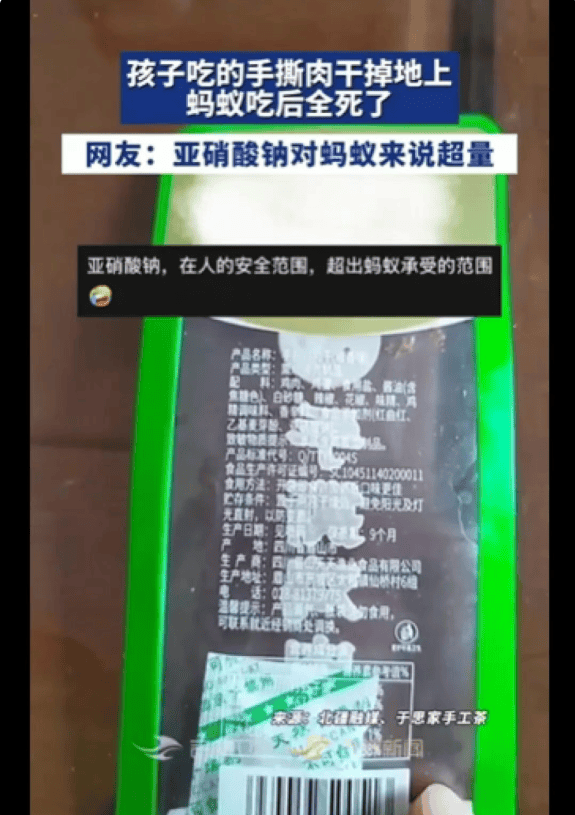 孩子零食肉干碎渣掉地上，蚂蚁吃完短时间内集体死亡，网友热议