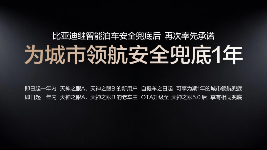 比亚迪的智能化下半场王传福开启“双兜底”时代(图1)