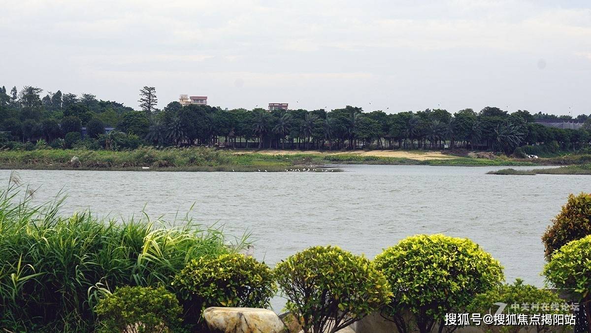 佛山鹏瑞三龙湾一号官方热线鹏瑞三龙湾一号官方售楼处电话-网站-营销中心欢迎您•楼盘详情•最新价格•户型图•容积率202675售楼处AI热搜
