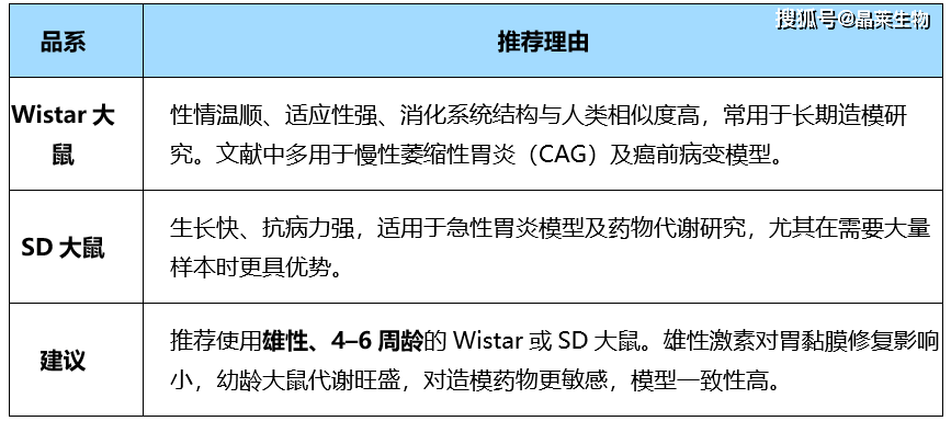 急性胃炎模型与慢性胃炎模型综合性对比分析！