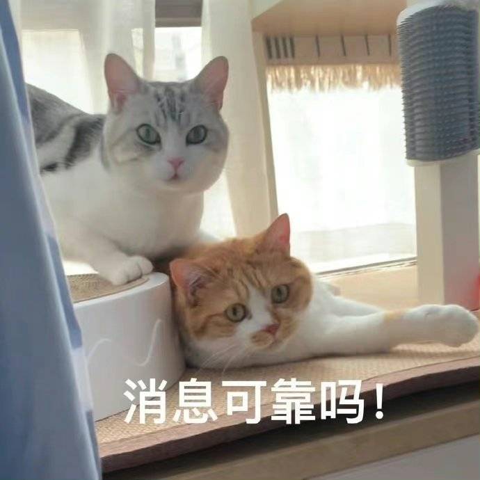 文章插图