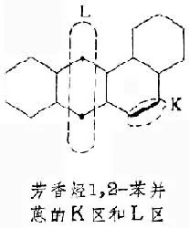 量子微生物学大事记