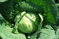 朱正廷家里着火了