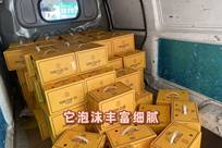 27岁女游客在三亚被蛇咬伤身亡