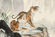 人生没有灰暗，只有精彩纷呈的四种中华棋牌官方网址大全，秋日里风生水起