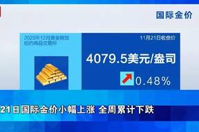 杨紫访谈完整版