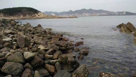 女生中最有团队合作精神的5大星座