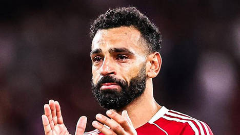 毕雯珺你别光理罗伯特不理我啊